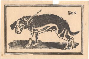 <strong>Asada Benji</strong><br>A Dog
