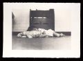 Diary：Aug. 8th '77
