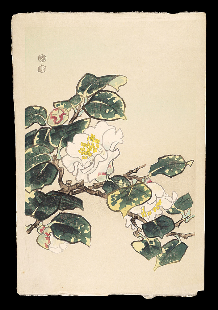 Kotozuka Eiichi “White Camellia”
