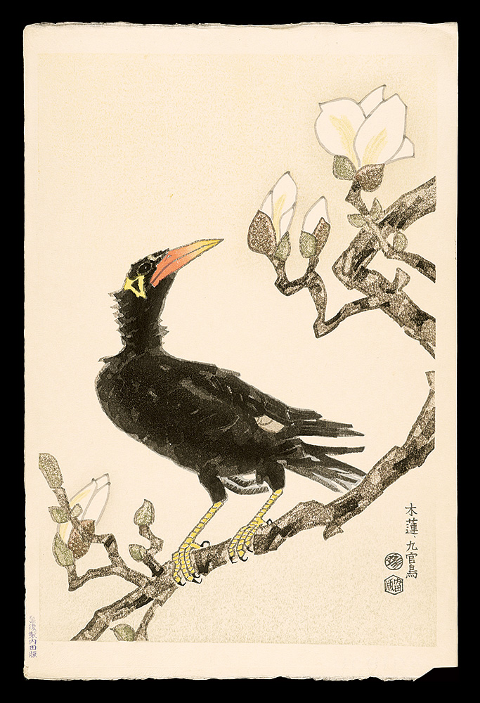 琴塚英一「木蓮、九官鳥」