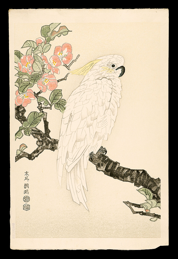 琴塚英一「木瓜、鸚鵡」