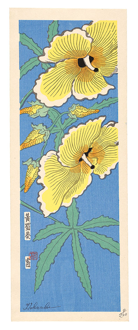 徳力富吉郎「黄蜀葵」