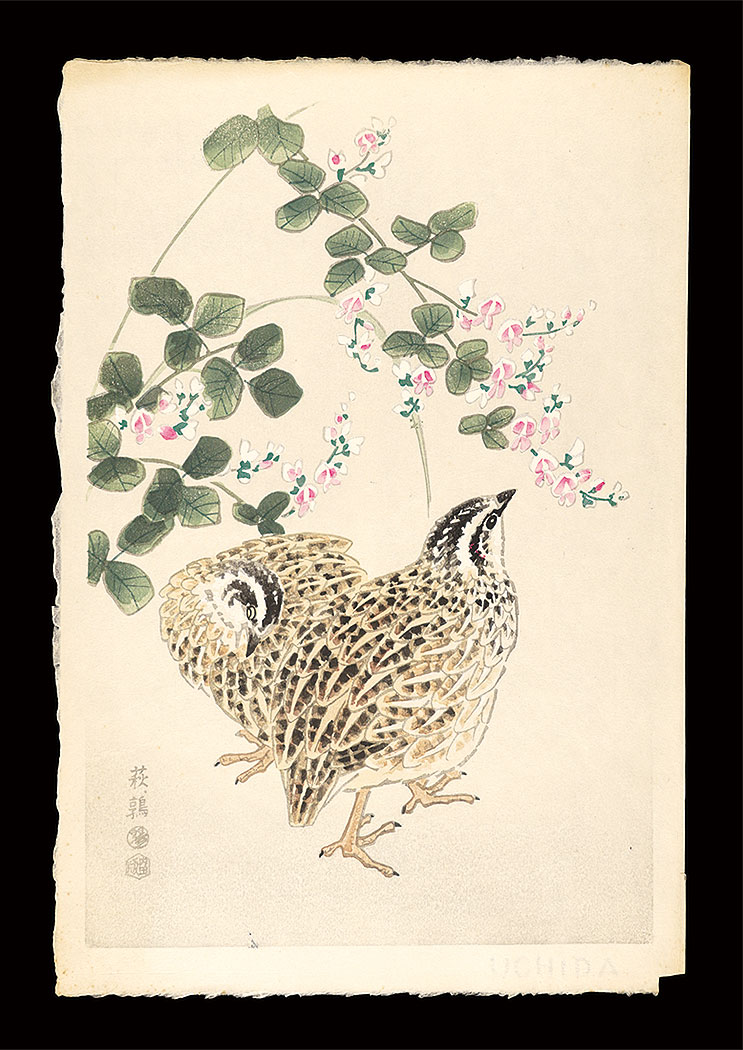 琴塚英一「萩、鶉」