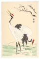 Cranes (tentative title)