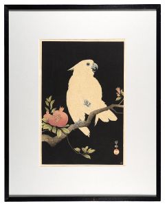 小原古邨（祥邨）「柘榴に鸚鵡」