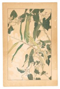 杉浦非水「灸花」