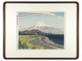 Mt.Fuji in spring from Miho 