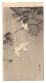 Java Sparrows with Green Maple......