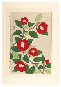 日本の花こよみ　ツバキ（椿）