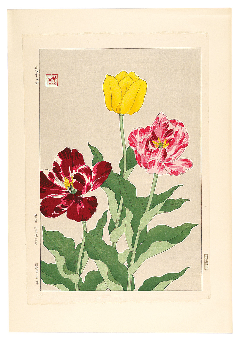 河原崎奨堂「日本の花こよみ　チューリップ」