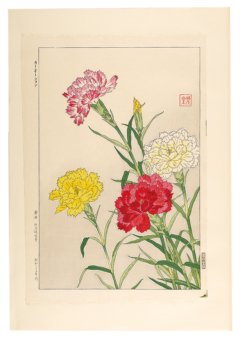 河原崎奨堂「日本の花こよみ　カーネーション」