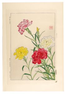 日本の花こよみ　カーネーション