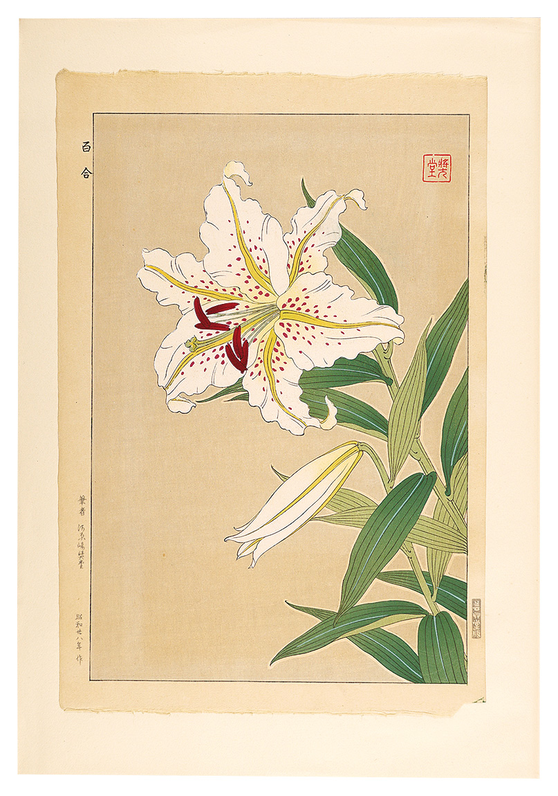 河原崎奨堂「日本の花こよみ　ヤマユリ（山百合）」