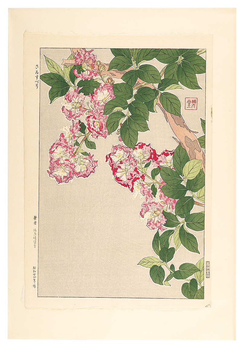 河原崎奨堂「日本の花こよみ　サルスベリ（百日紅）」
