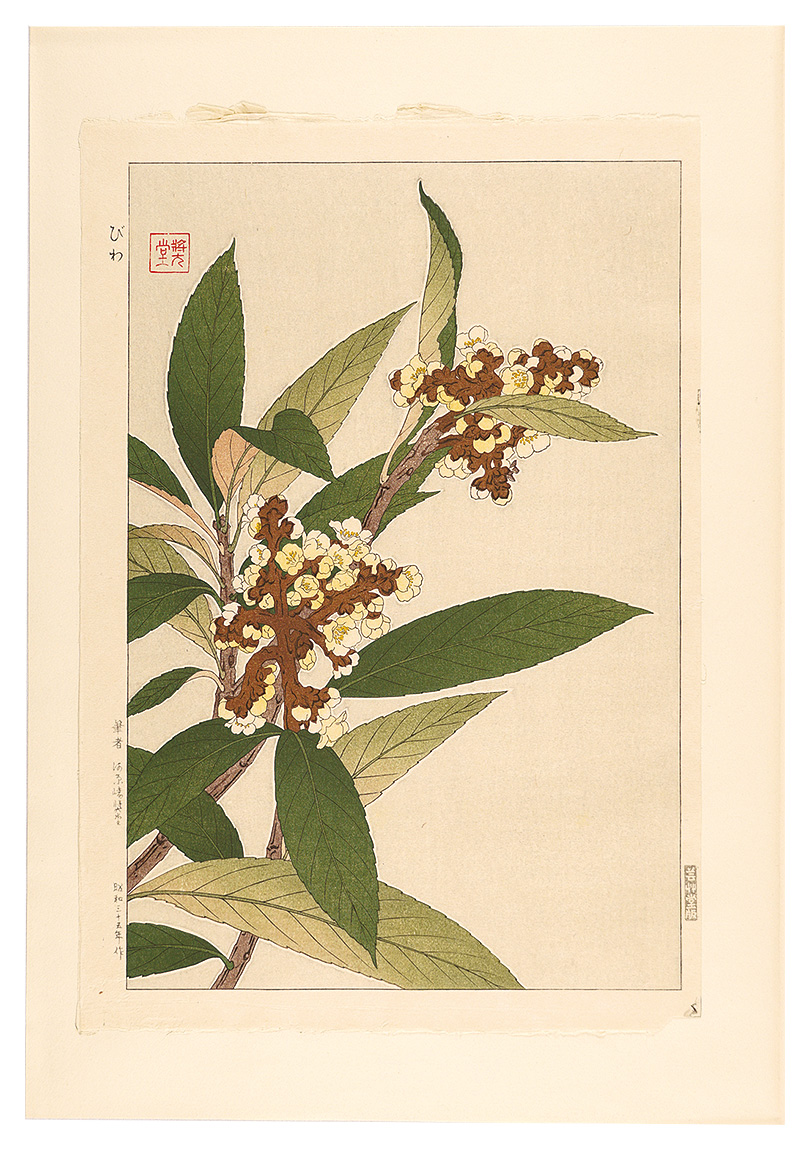 河原崎奨堂「日本の花こよみ　ビワ（枇杷）」