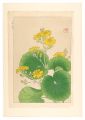 Floral Calendar of Japan / Jap......