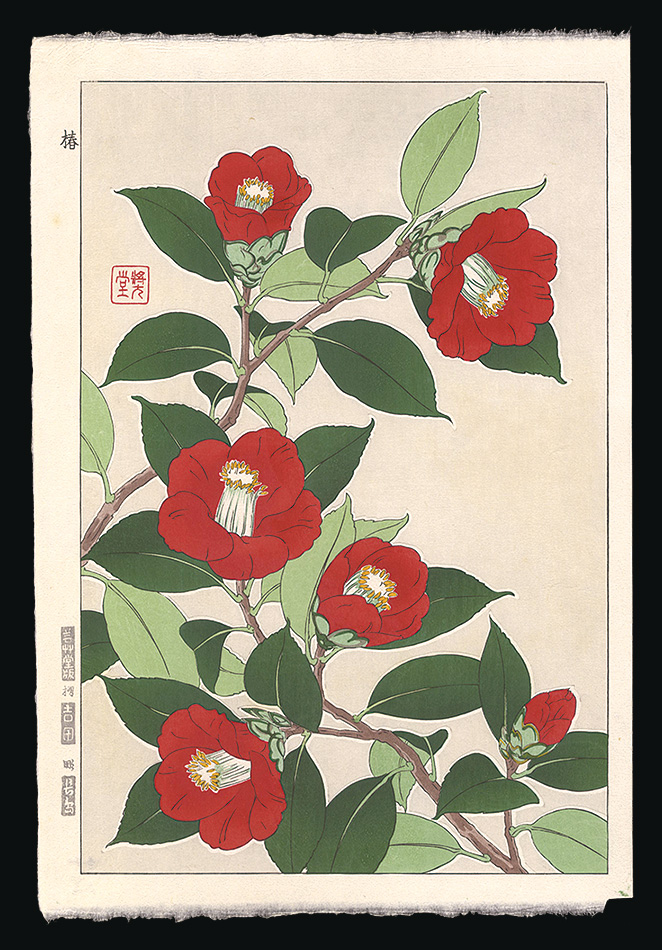 Kawarazaki Shodo “Camellia”