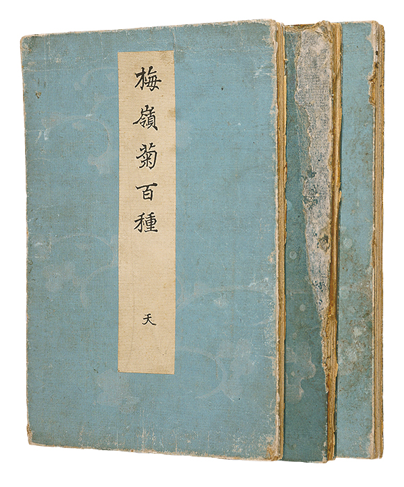 楳嶺「楳嶺菊百種」