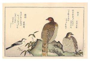 百千鳥狂歌合　山鳥 鶺鴒【復刻版】
