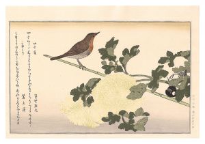 百千鳥狂歌合　四十雀 こまどり【復刻版】