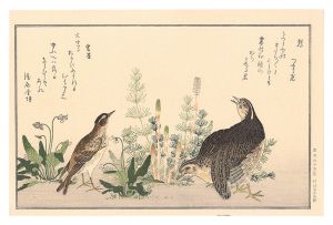 百千鳥狂歌合　鶉 雲雀【復刻版】