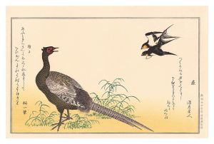 百千鳥狂歌合　燕 雉子【復刻版】