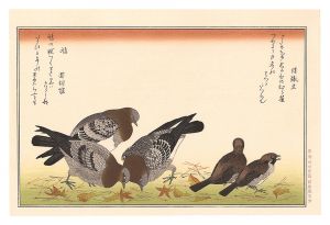 百千鳥狂歌合　むら雀 鳩【復刻版】