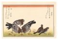 Myriad Birds: A Kyoka Competit......