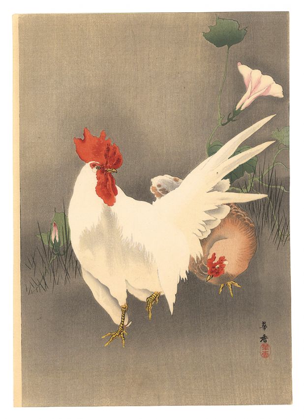 Morita Kako “Chickens (tentative title)”