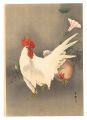 Chickens (tentative title)