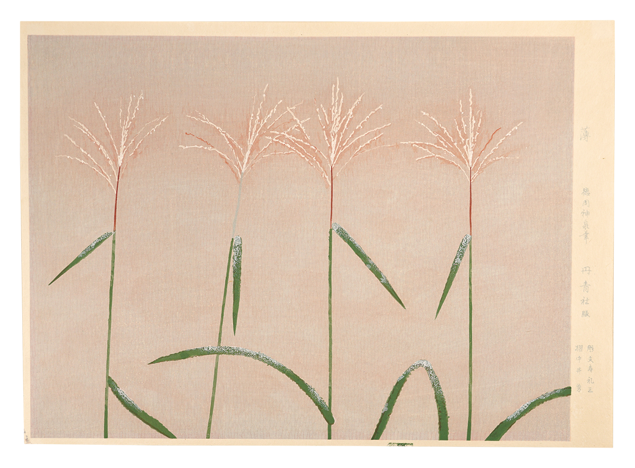徳岡神泉「薄」