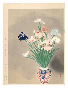 菖蒲