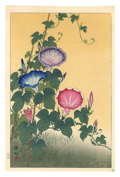 小原古邨（祥邨）「朝顔」