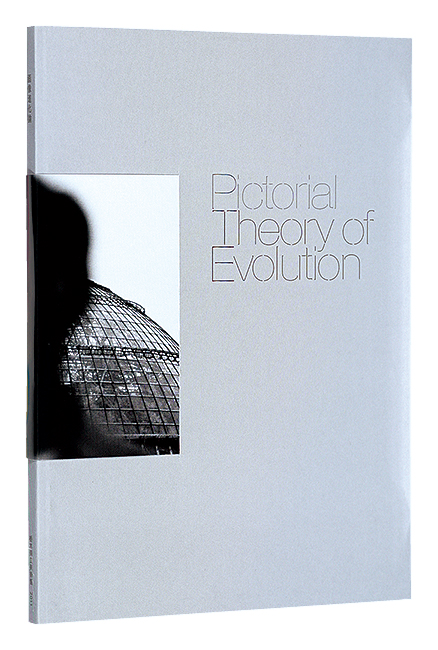 “Pictorial theory of evolution” 