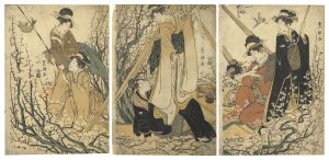 Toyokuni I / Beauties [美人画]