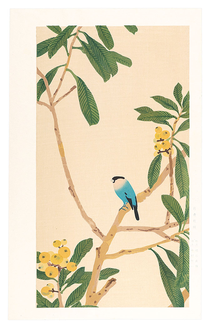 Imamura Shiko “Loquat and Java Sparrow”
