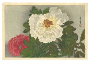 織田一磨「牡丹」