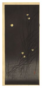 伊藤総山「蛍（仮題）」