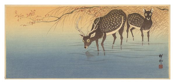小原古邨（祥邨）「つがいの鹿」