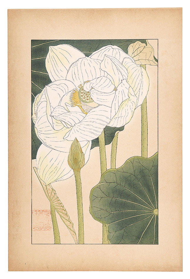 杉浦非水「蓮」