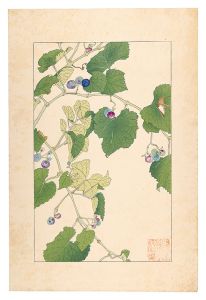 杉浦非水「野葡萄」