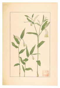 杉浦非水「宝鐸草」