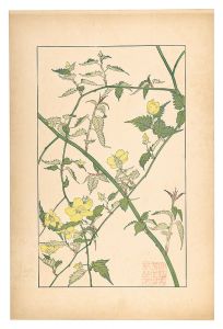 杉浦非水「山吹」