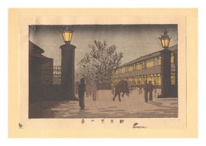 True Pictures of Famous Places of Tokyo (Tokyo shinga meisho zukai) / View of Shin-Yoshiwara【Reproduction】