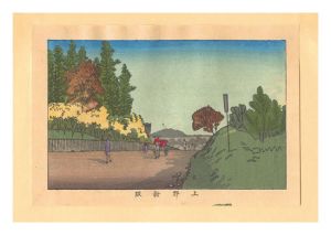 True Pictures of Famous Places of Tokyo (Tokyo shinga meisho zukai) / Shinzaka Hill, Ueno【Reproduction】