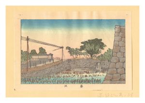 True Pictures of Famous Places of Tokyo (Tokyo shinga meisho zukai) / Aoizaka Hill【Reproduction】