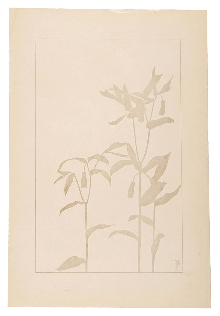 杉浦非水「宝鐸草」
