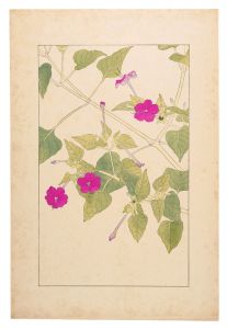 杉浦非水「白粉花」