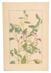 杉浦非水「釣船草」