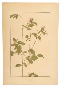 杉浦非水「おけら」